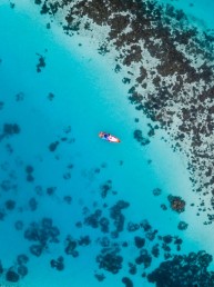 Surfer in reef drone shot