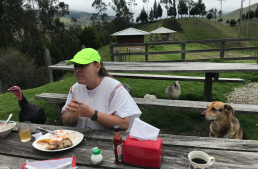 women at table with animals watching