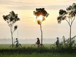 Vietnamese locals riding a bycicle, by Dikaseva